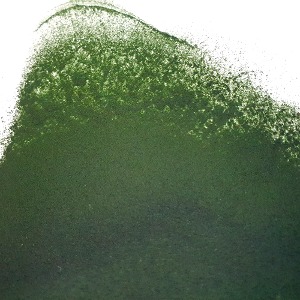 클로렐라 불가리스가루 100g (Chlorella Vulgaris Powder) 국산