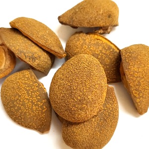 칠엽수열매껍질 50g (Aesculus Chinensis Fruit Peel) 국산-청주