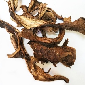 능이버섯 50g (Sarcodon Aspratus) 국산-청주