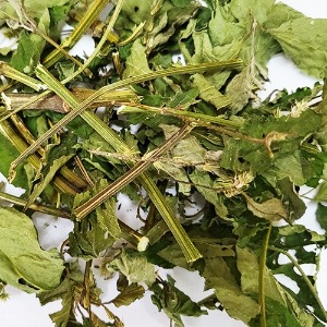 쇠무릎 전초 50g (Achyranthes Japonica) 국산-청주