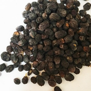 쥐똥나무열매 50g (Ligustrum Vulgare Fruit) 국산-청주