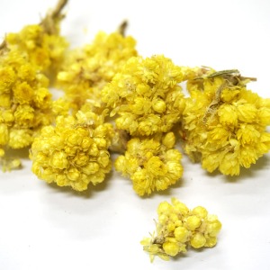 에버라스팅 꽃 50g (Helichrysum Italicum Flower) 국산-청주