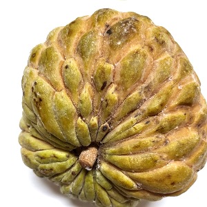 슈가애플열매 50g (Annona Squamosa Fruit) 태국