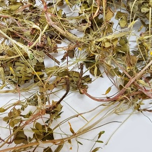 괭이밥 전초 50g (Oxalis Corniculata) 국산-청주