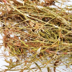 애기수영 전초 50g (Rumex Acetosella Leaf/Stem/Root) 국산-청주