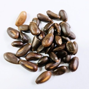 슈가애플씨 30g (Annona Squamosa Seed) 태국