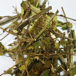 현삼(전초) 50g (Scrophularia Buergeriana) 국산-청주