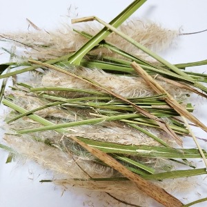 띠 전초 50g (Imperata Cylindrica(Cogon grass)) 국산-청주