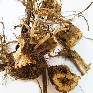 클레리뿌리 50g (Salvia Sclarea (Clary) Root) 국산-청주