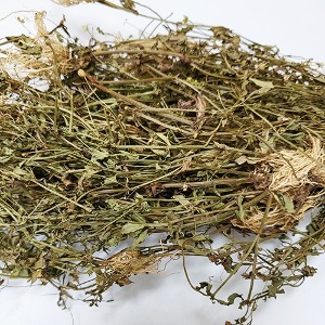 밭뚝외풀(전초) 50g (Lindernia procumbens) 국산-청주