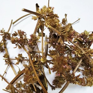 층층이꽃(전초) 50g (Clinopodium chinense var. parviflorum) 국산-청주