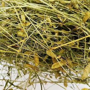 얼치기완두(전초) 50g (Vicia Tetrasperma) 국산-청주