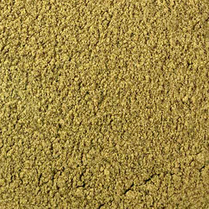 노티드랙가루 1kg (Ascophyllum Nodosum Powder) 미국