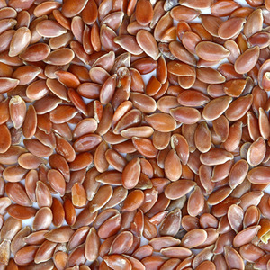 아마 씨(플락스씨드) 1kg (Linum Usitatissimum (Linseed) Seed) 캐나다산