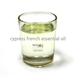 사이프러스 프랜치 에센셜오일 (cypress french essential oil) - 독일산 / 스페인원산